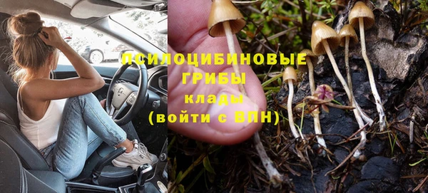 сатива Пестово