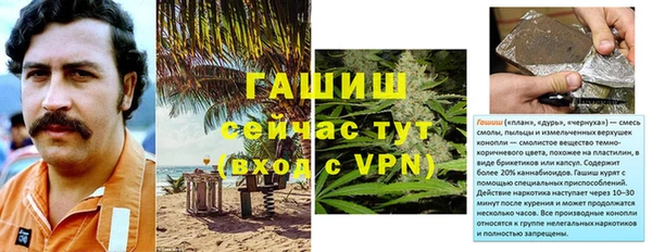 сатива Пестово