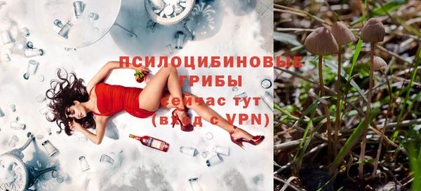 прущая мука Покровск
