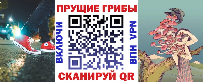 Псилоцибиновые грибы мухоморы  гидра ссылка  Шимановск  наркошоп 
