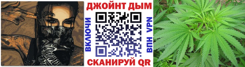 Шишки марихуана сатива Шимановск